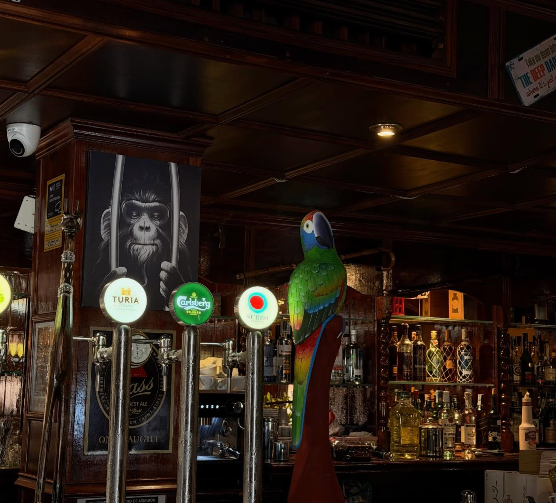 Interior of Why Not Gastronomic Pub — bar at Cala'n Bosch